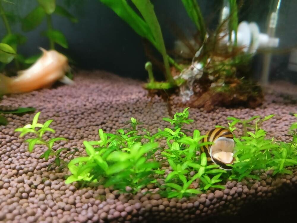 2025-08-23 11-01-43.JPG