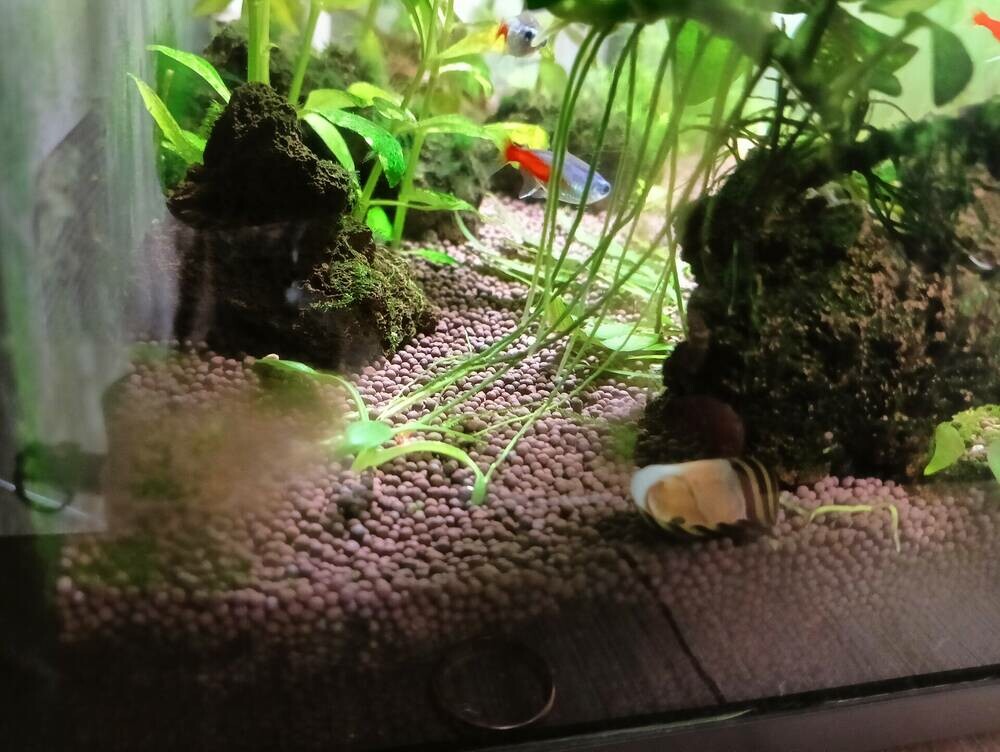 2025-08-23 11-02-46.JPG