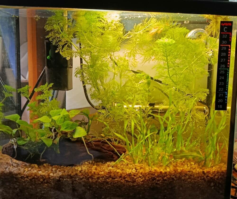 IMG_20250808_134723.jpg