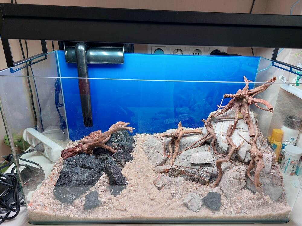 1 (1)_batcheditor_fotor.jpg