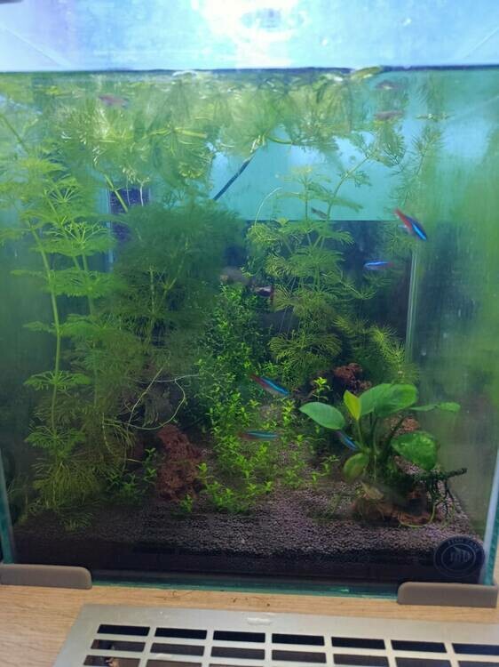 Изображение WhatsApp 2025-10-03 в 11.16.15_d4fddf67.jpg