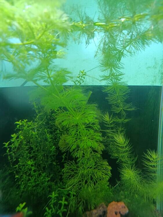 Изображение WhatsApp 2025-10-05 в 11.15.55_dc4e2395.jpg