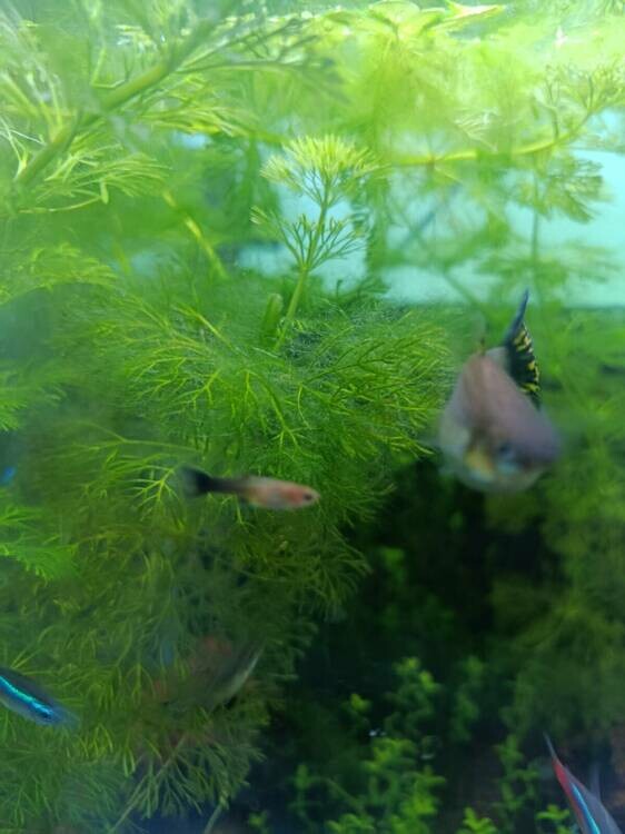 Изображение WhatsApp 2025-10-05 в 11.15.58_60faacf8.jpg