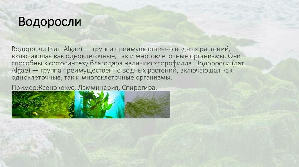 Скриншот 05-10-2025 112552.jpg