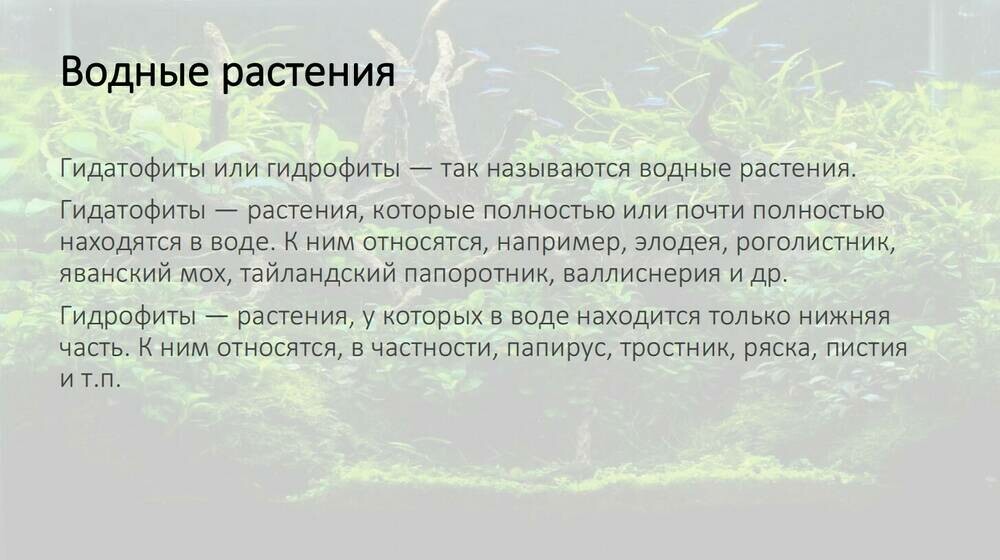 Скриншот 05-10-2025 112603.jpg