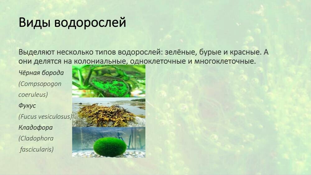 Скриншот 05-10-2025 112619.jpg