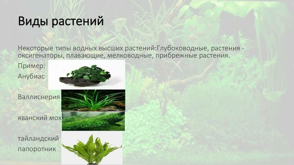 Скриншот 05-10-2025 112636.jpg