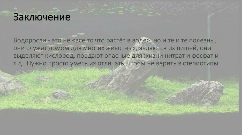 Скриншот 05-10-2025 112715.jpg