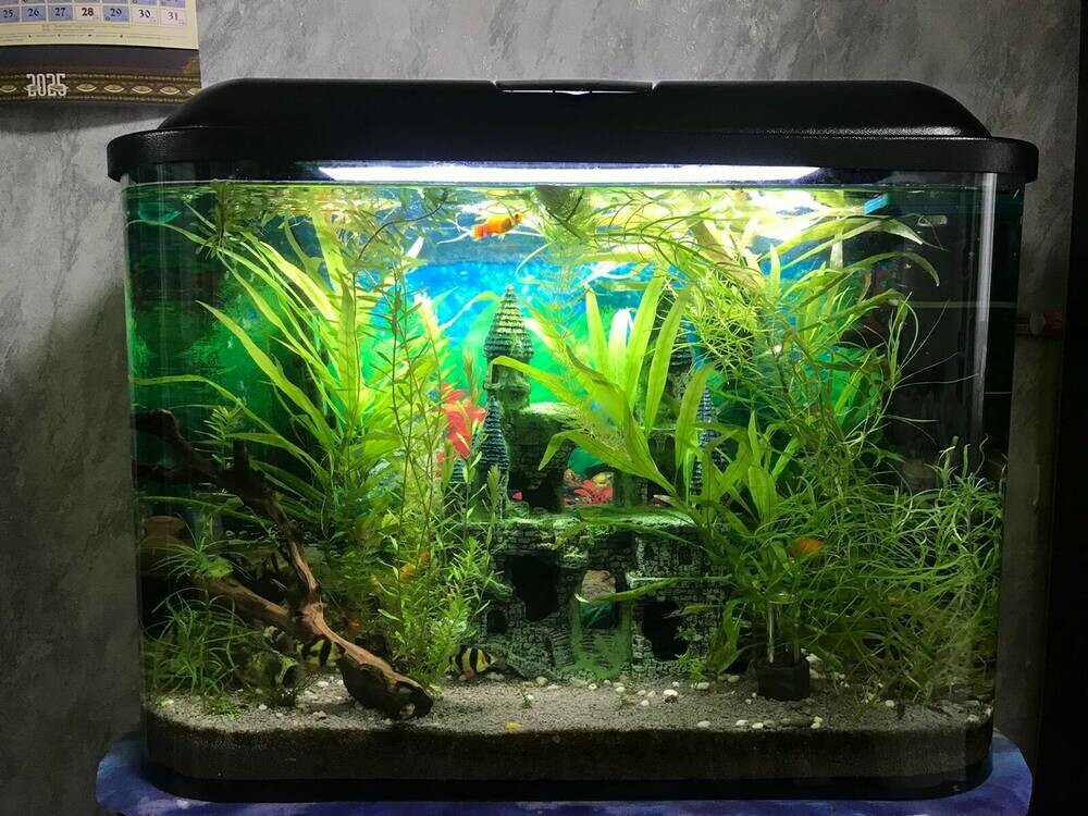 WhatsApp Image 2025-10-08 at 10.10.08.jpeg