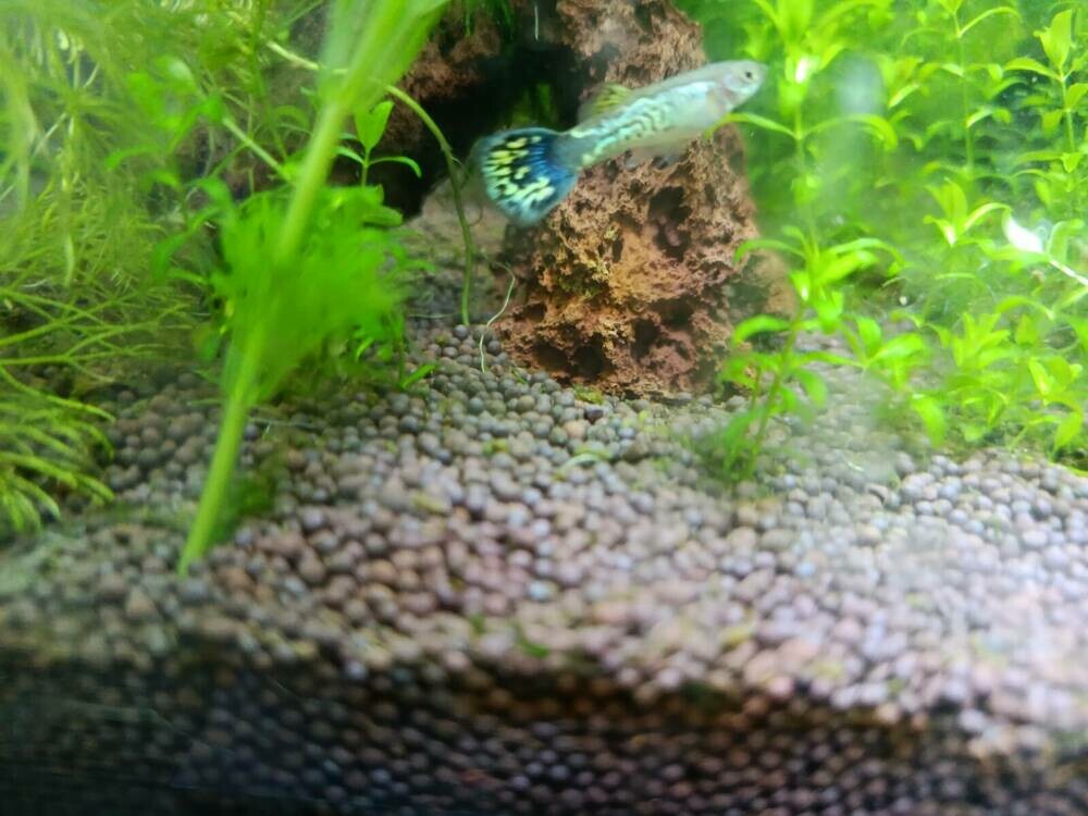 Изображение WhatsApp 2025-10-10 в 18.18.32_1974871d.jpg