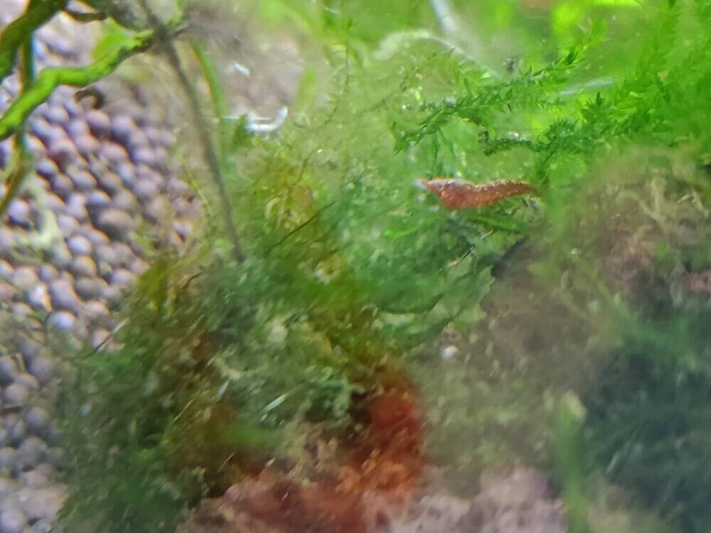 Изображение WhatsApp 2025-10-22 в 19.39.07_065fa470.jpg