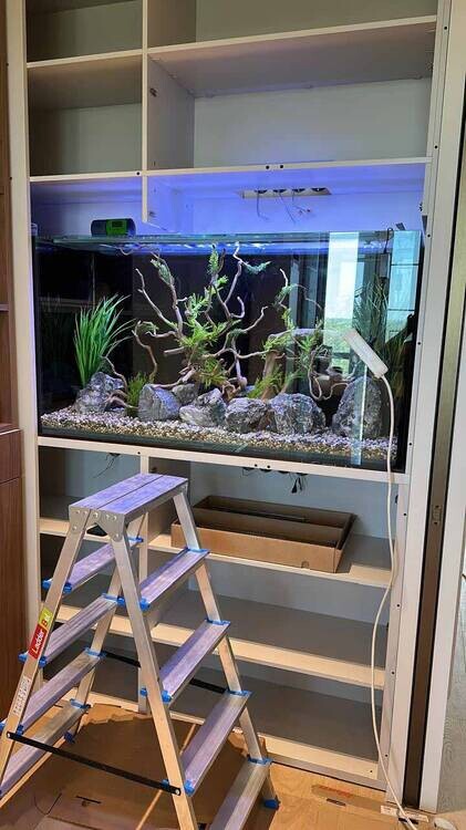 Изображение WhatsApp 2025-07-26 в 15.32.56_2898d6ad.jpg