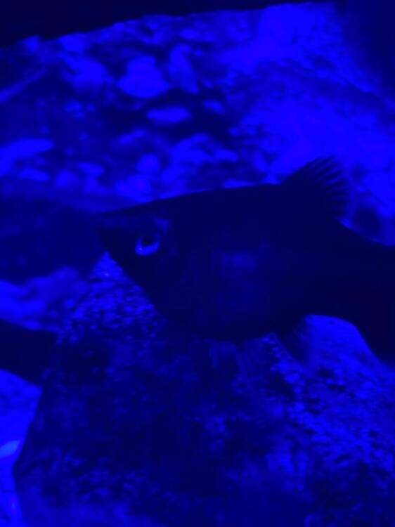 WhatsApp Image 2025-10-27 at 12.50.27.jpeg