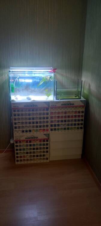 m1TeqOGCxUoPeCydgVXrIa6fzttZ0dfeITrCiqfwieYpMPUYq0-xVic6fHlYj45yq7YpeSWosDkQvewPT_WwH-ro (1).jpg