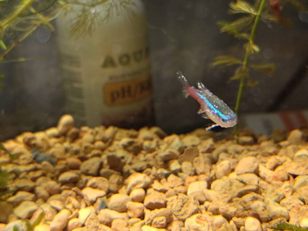 photo_2025-11-24_14-20-51 (3).jpg