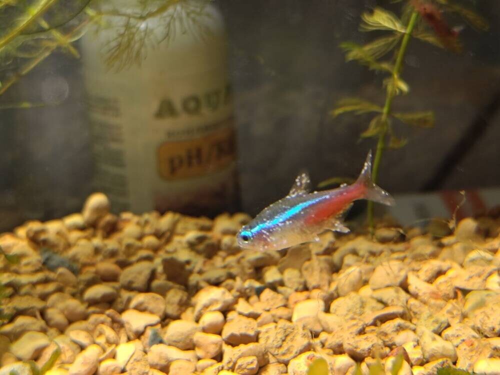 photo_2025-11-24_14-20-51 (2).jpg