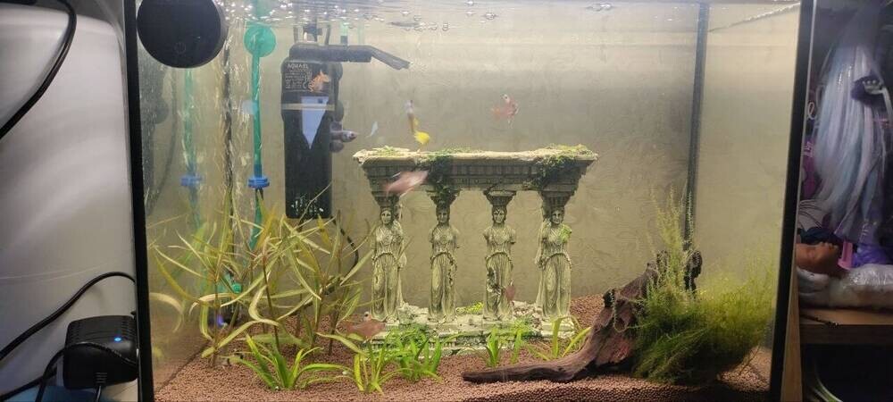 photo_2025-12-21_16-47-10 (2).jpg