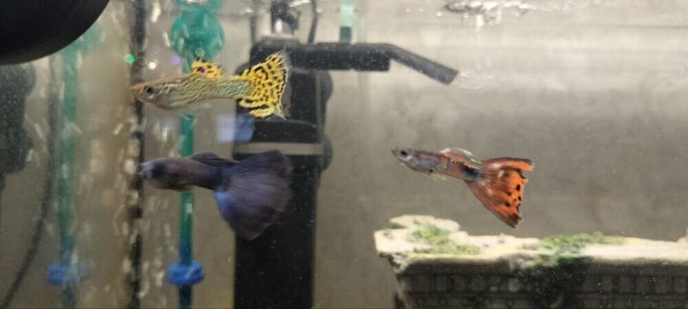 photo_2025-12-21_16-47-09 (2).jpg