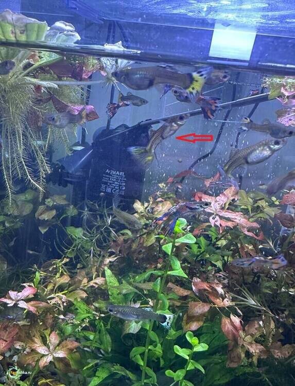 Без имени102.jpg