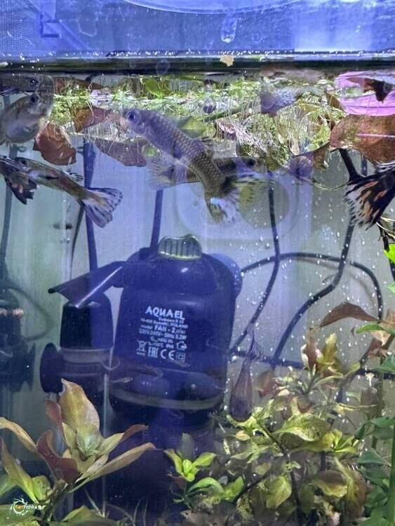 С2026-01-23 224746.jpg