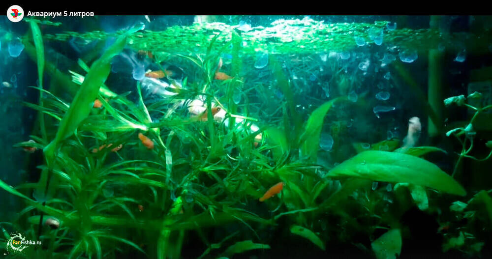 Снимок экрана 2026-01-24 в 8.41.11.png