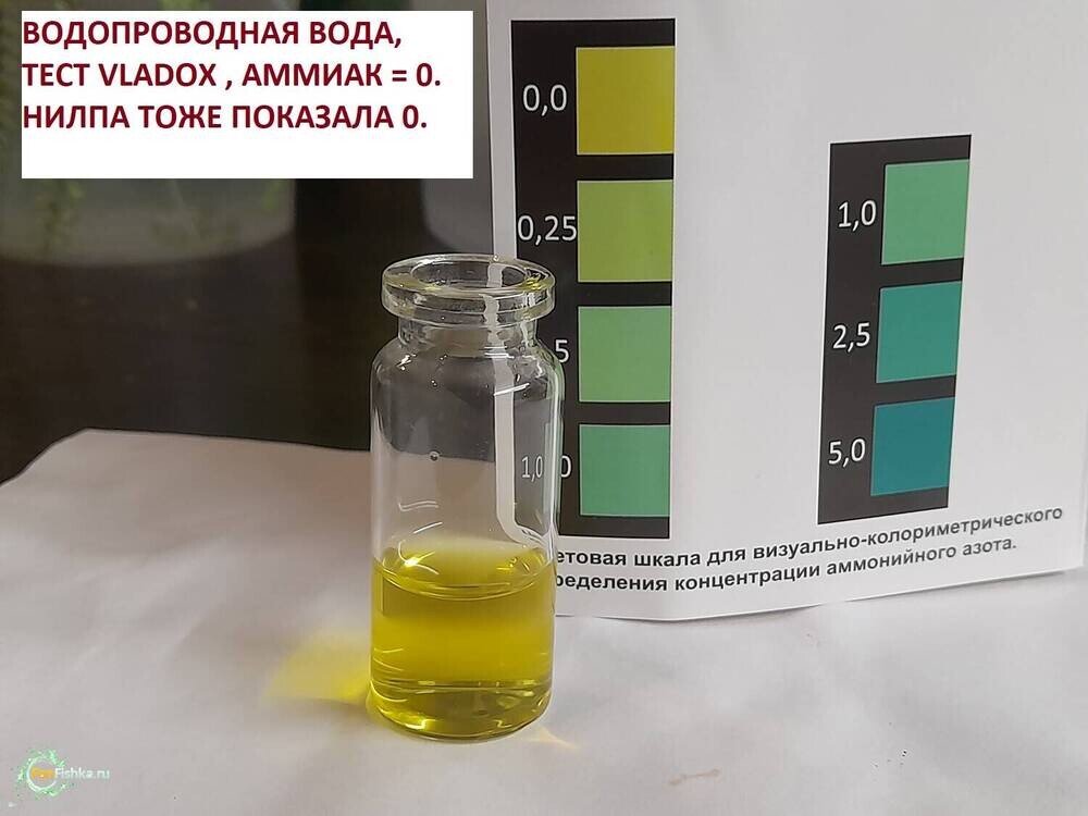 ВОДОПРОВОД ВЛАДОКС АММИАК 0.jpg