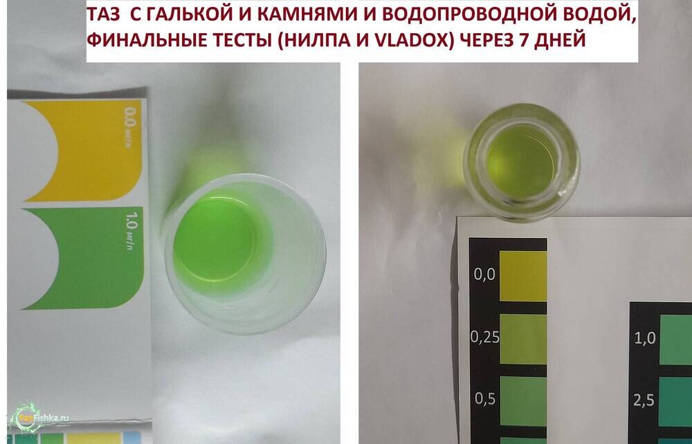 ТАЗ ЧЕРЕЗ 7 ДНЕЙ 2 шт.jpg