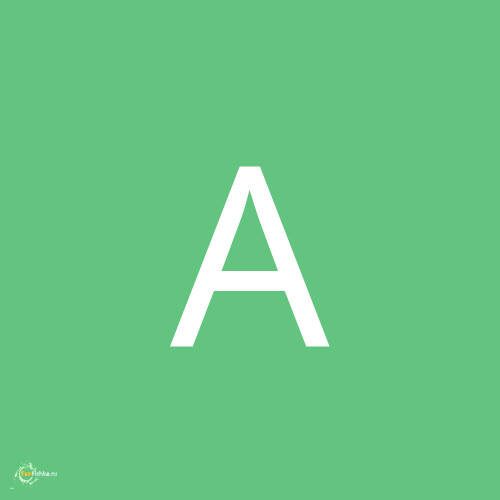 АлександрFish