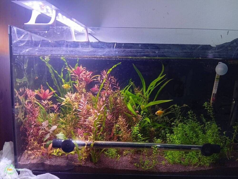 2аква ноябрь.jpg