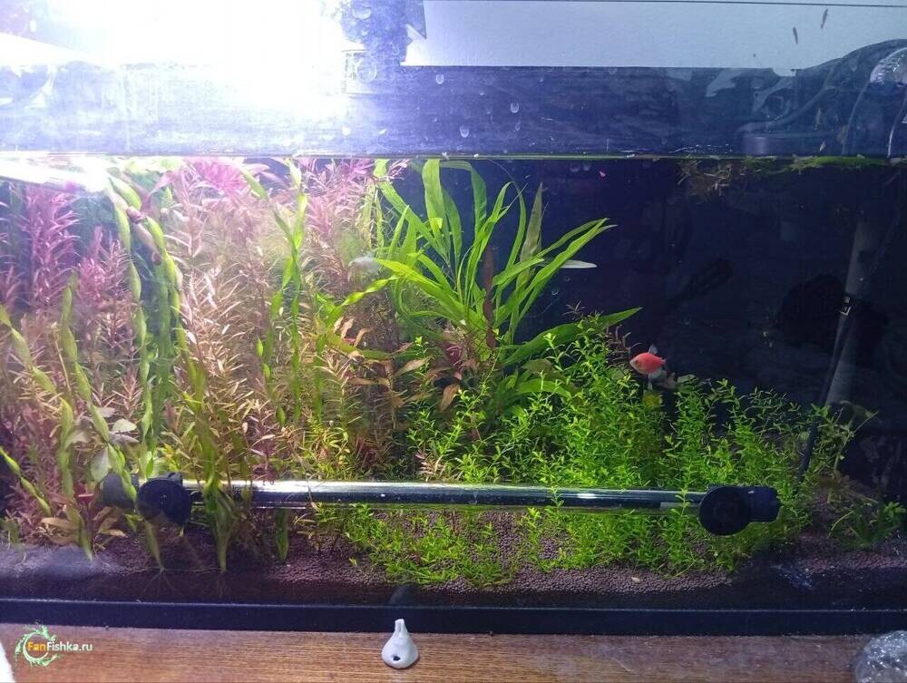 4аква после отпуска водоросоль (2).jpg