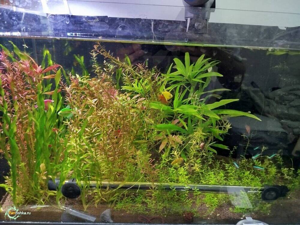 5аква общ сейчас.jpg