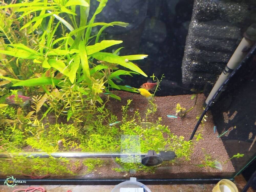 6аква пространство сейчас.jpg