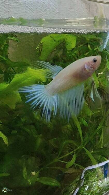 WhatsApp Image 2026-02-20 at 16.19.51.jpeg