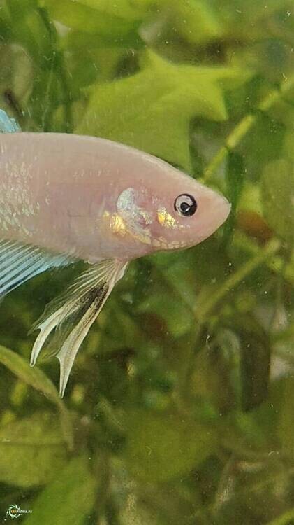 WhatsApp Image 2026-02-20 at 16.20.31.jpeg