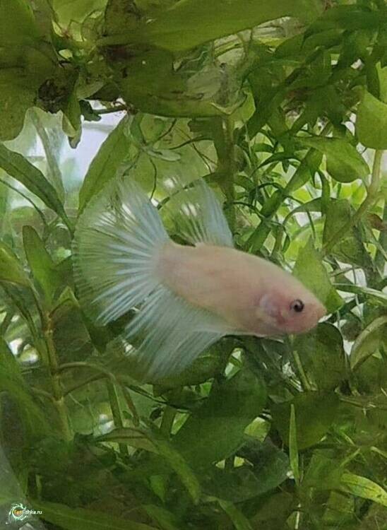 WhatsApp Image 2026-02-20 at 16.29.30.jpeg