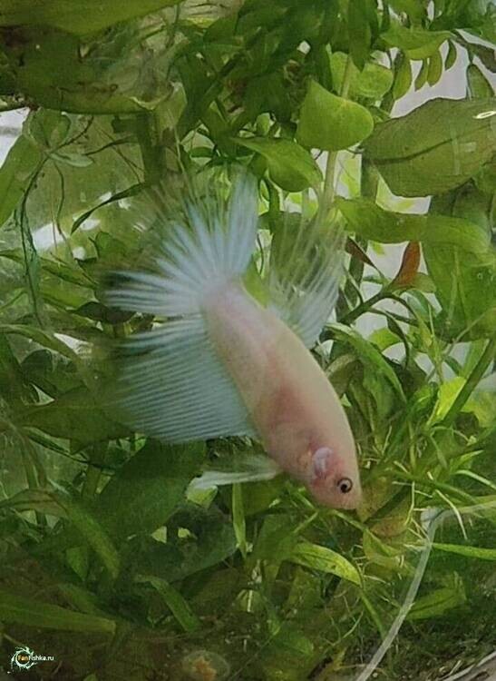 WhatsApp Image 2026-02-20 at 16.31.33.jpeg