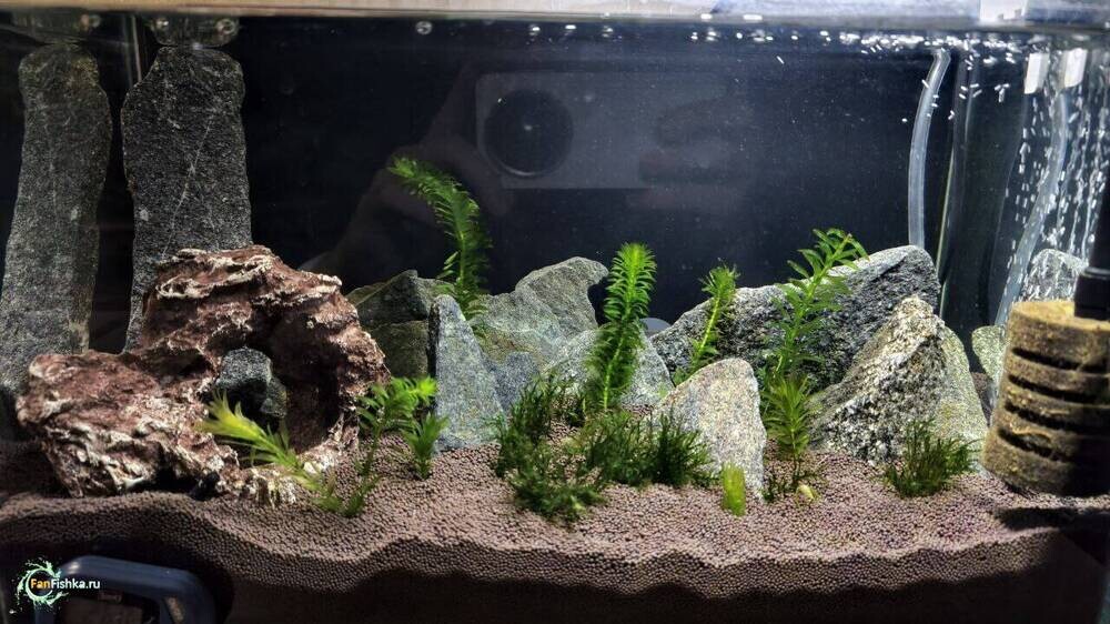 5246705016729441185 (1).jpg