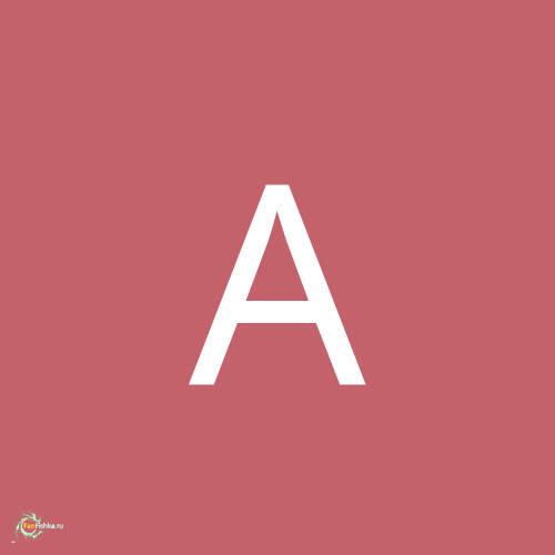 Александр С.