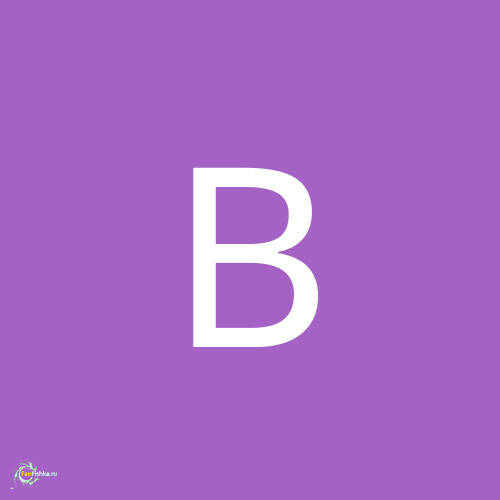 Виктория С.