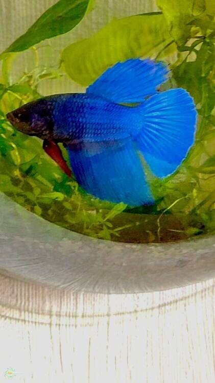 WhatsApp Image 2026-03-25 at 11.58.29.jpeg