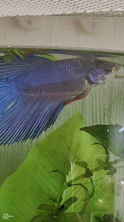 WhatsApp Image 2026-03-25 at 11.56.45.jpeg