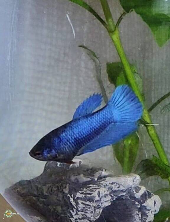 WhatsApp Image 2026-03-26 at 19.22.23.jpeg