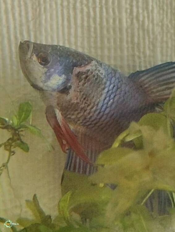 WhatsApp Image 2026-03-26 at 12.24.17 1.jpeg