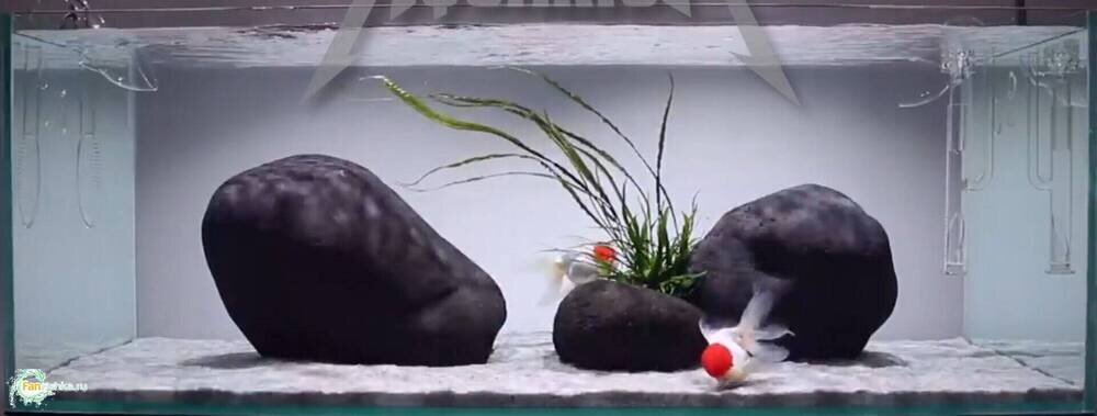 Снимок экрана (1).png