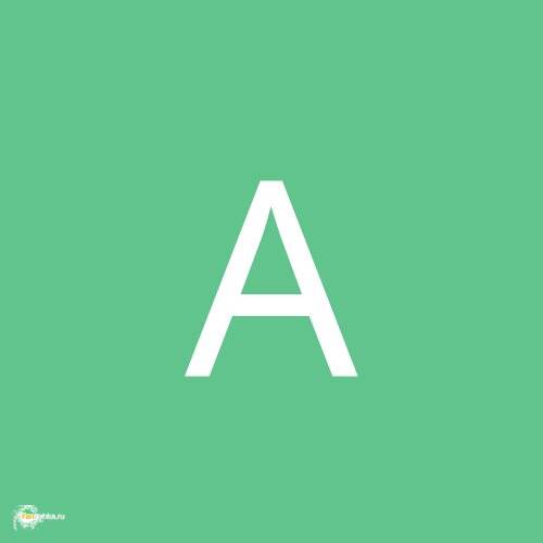 Анна 3003