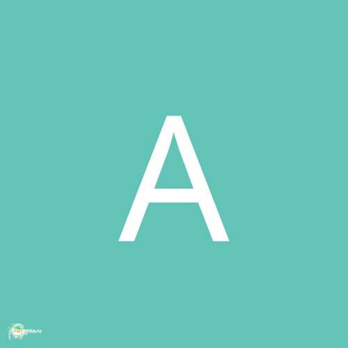 Amodest1
