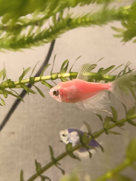 IMG_20260429_190205493.jpg
