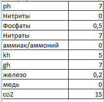 image.jpg.25be3234c1bd5bf1da7d9fa24bfcb3f8.jpg