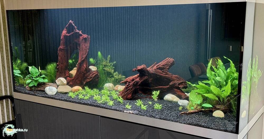 aqua 20.05.2026 01.jpg