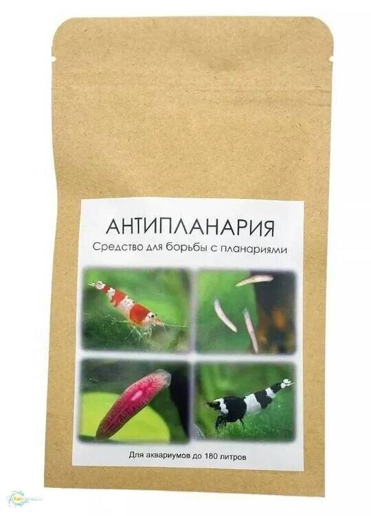 Антипланарий.jpg